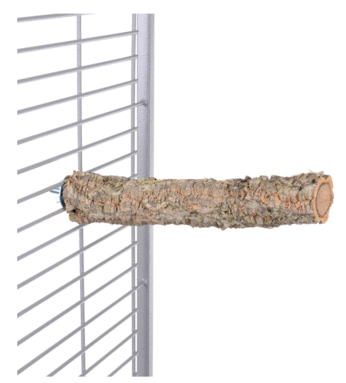 DąB Korkowy M - Żerdź naturalna dla średnich papug od ParrotPlanet.pl