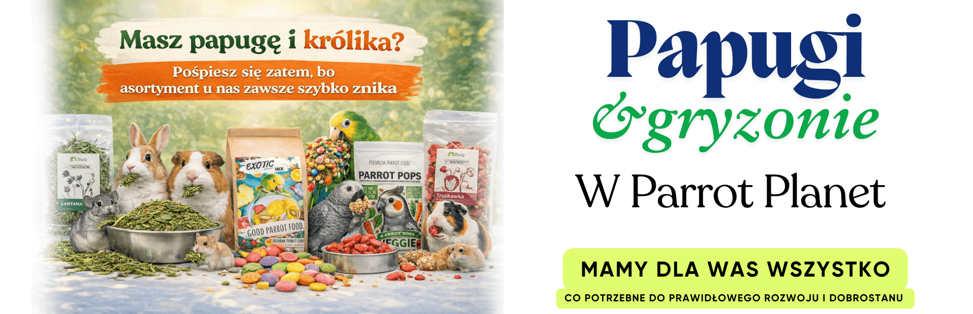 gryzonie marzec (brak linku do przekierowania)