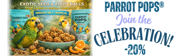 Przeglądaj produkty