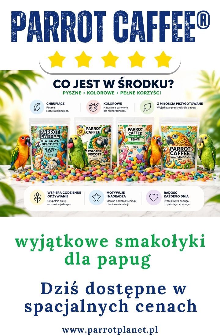 Przeglądaj produkty