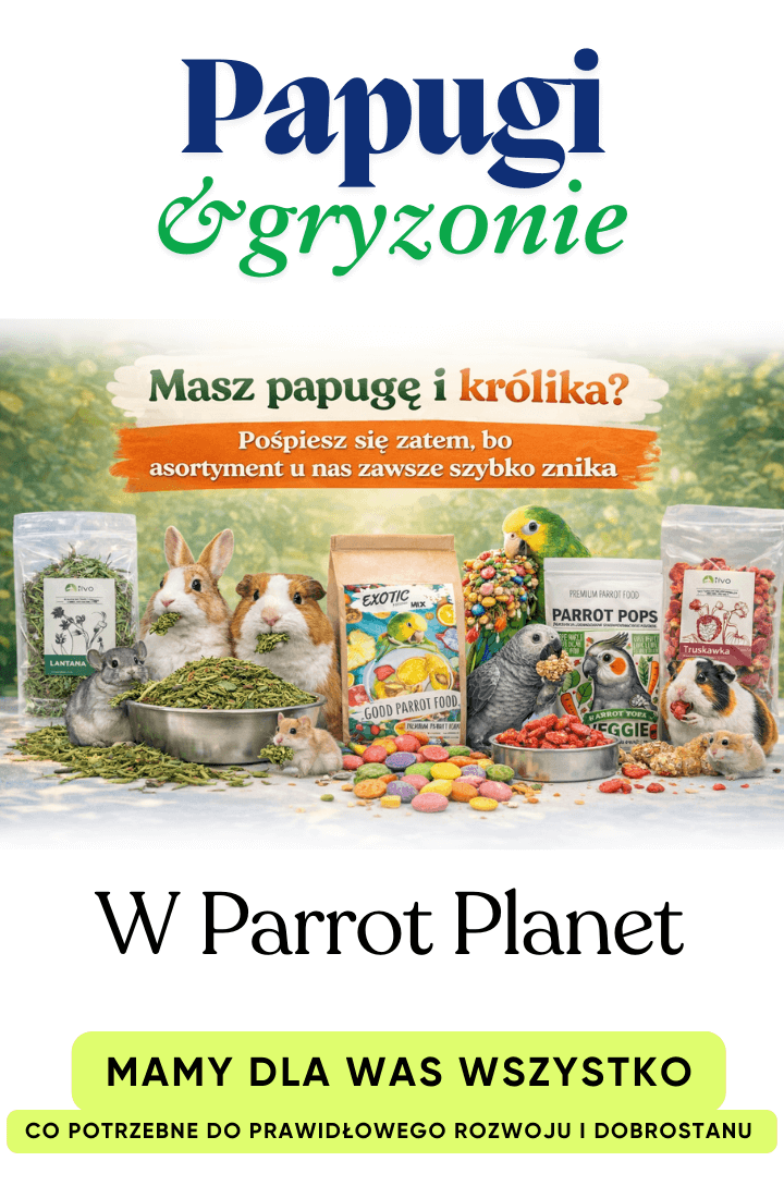 gryzonie marzec (brak linku do przekierowania)