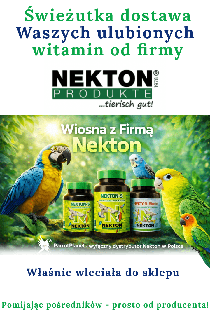 Przeglądaj produkty