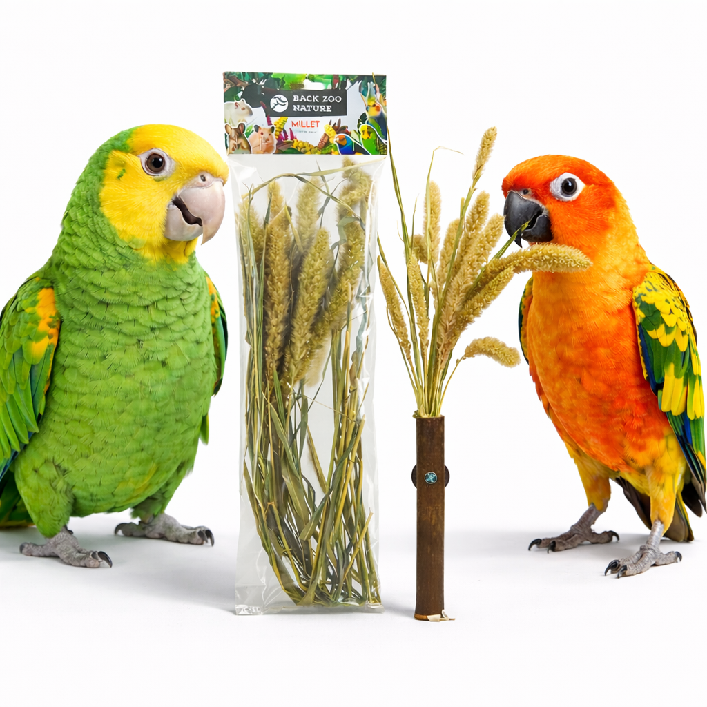 Bukiet Włośnicy w Kłosach od Back Zoo Nature | Zbożowy Bukiet Setaria | dla wszystkich papug 30g od ParrotPlanet.pl