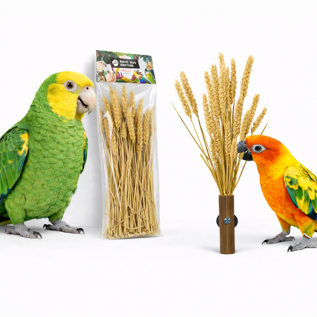 Kłosy Pszenicy w Bukiecie od Back Zoo Nature | Bukiet Pszenicy | Przysmak dla wszystkich papug 50g  od ParrotPlanet.pl